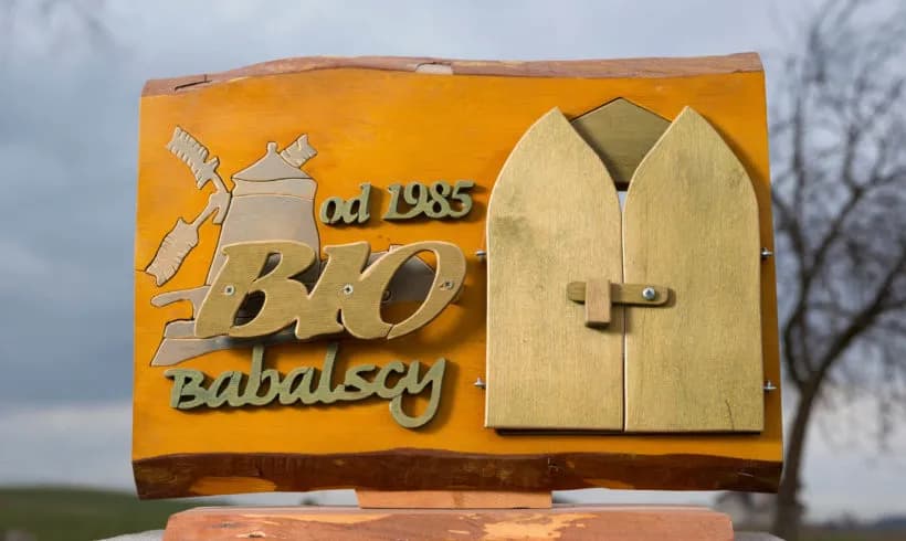 Wytwórnia Makaronu Biobabalscy: najlepszy producent ekologicznych makaronów