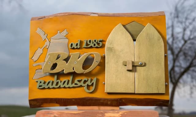 Wytwórnia Makaronu Biobabalscy: najlepszy producent ekologicznych makaronów