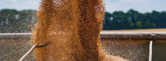 Jak gazować zboże, aby skutecznie zwalczyć szkodniki i zapewnić bezpieczeństwo