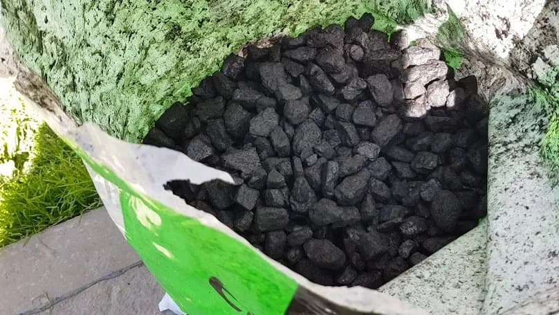 Ekogroszek PGG: Jakie są zalety i wady tego opału w sezonie grzewczym?