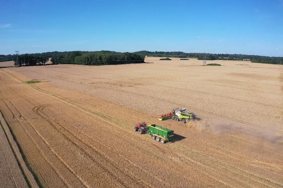 Gospodarstwa rolne w Polsce: Jakie są największe i najbardziej znane farmy?