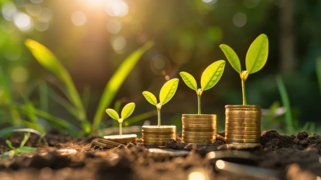 Wyszukiwarka de minimis: Jak efektywnie korzystać z wyszukiwarki w rolnictwie?