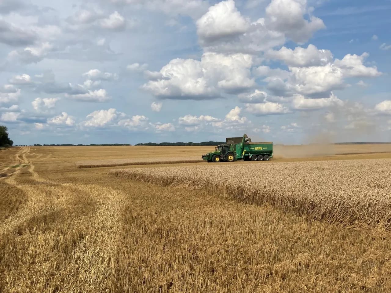 Ile mocznika na ściernisko? Poznaj optymalne dawki nawożenia