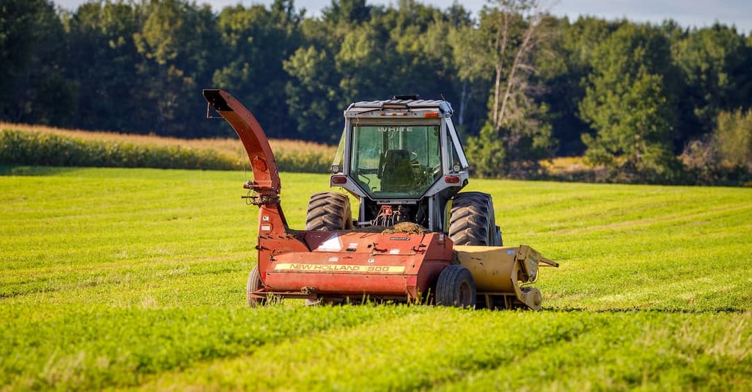 Traktory i ciągniki rolnicze - porównanie, różnice, zalety, wady