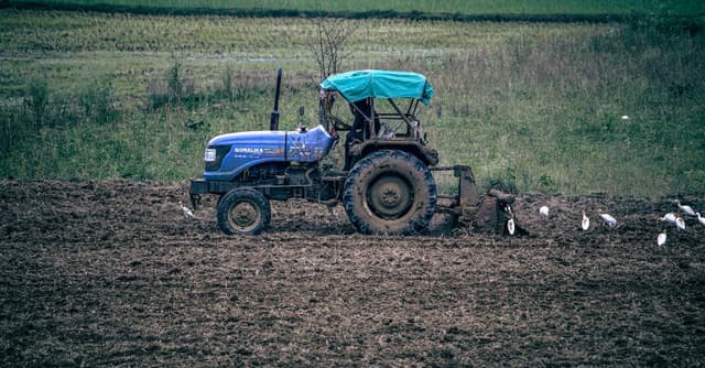 Ciągniki dla gospodarstw 5 ha - jak wybrać idealny model?