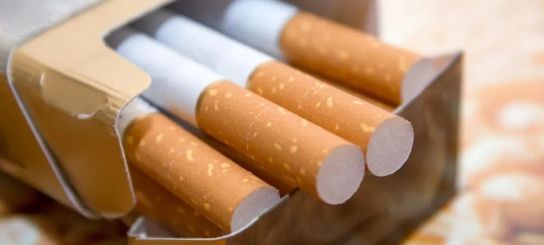 Jakie są obecne ceny tytoniu w skupie? Co wpływa na różnice?