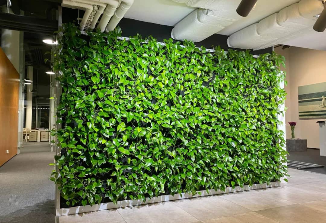 Ogrody wertykalne: Jak zaoszczędzić miejsce i uprawiać więcej?