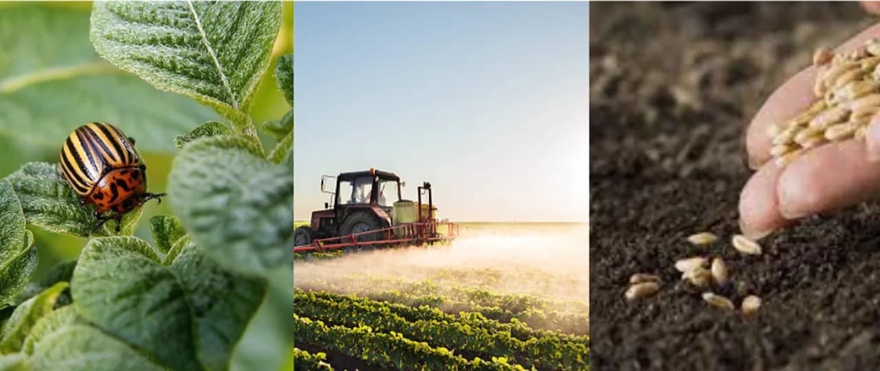 Inspekcja ochrony roślin: Co musisz wiedzieć o jej obowiązkach i procedurach?