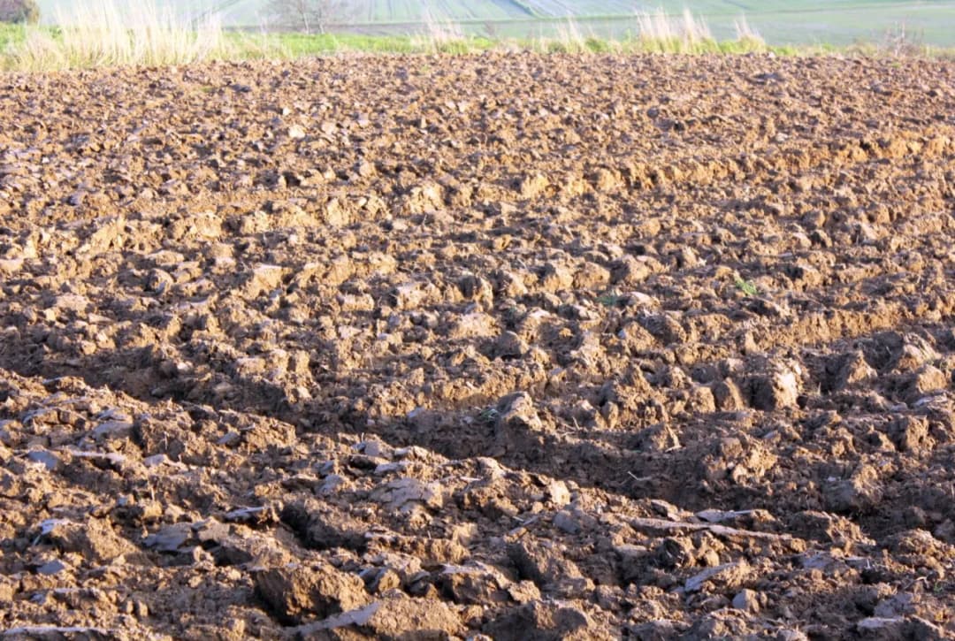 Mady gleby: Co to są i jak efektywnie wykorzystać je w uprawach?