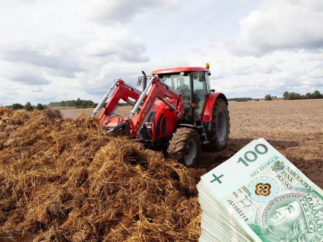 Ceny obornika 2023 - ile kosztuje tona obornika bydlęcego? Atrakcyjne oferty