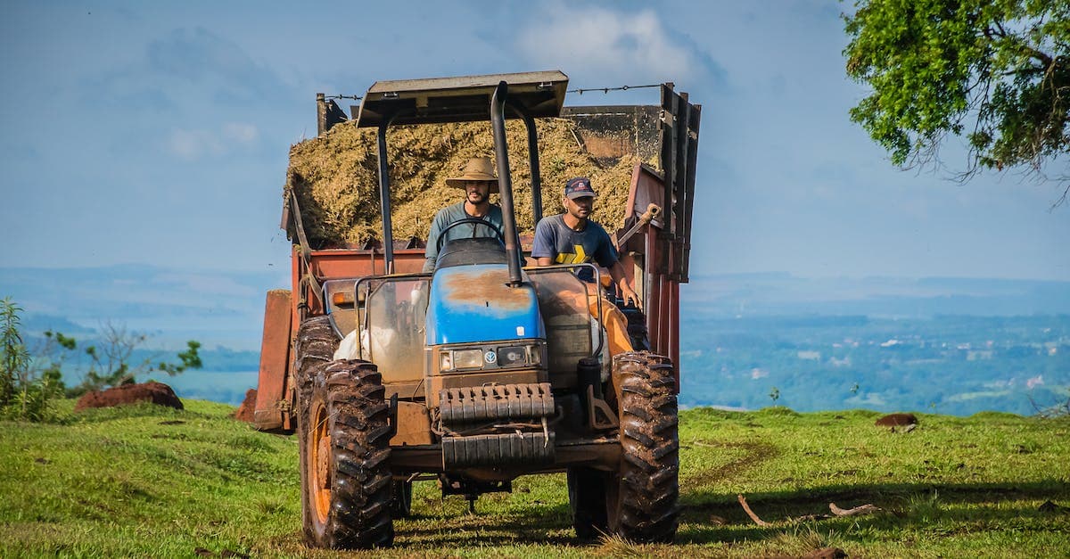 Siewnik do kukurydzy Gaspardo - najlepszy na rynku?