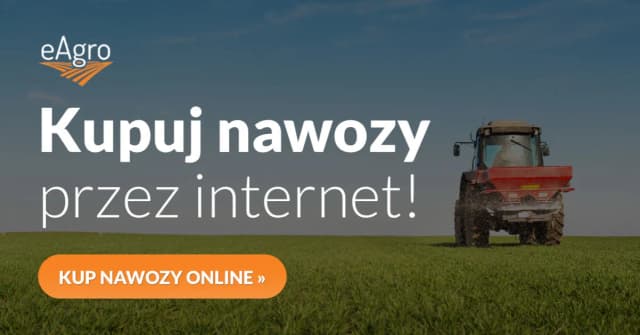 Jakie nawozy pod zboża zapewnią najwyższe plony i zdrowe rośliny