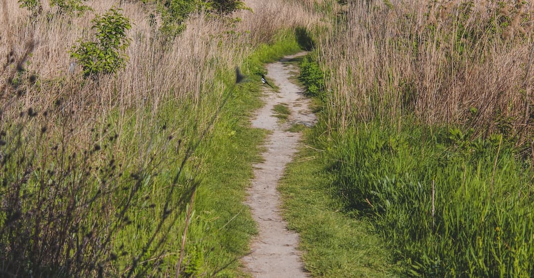 Kurs na kombajn zbożowy i uprawnienia. Sprawdź szczegóły oferty szkolenia kombajnistów na południu kraju.