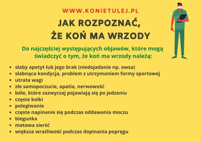 Objawy wrzodów u konia: 5 kluczowych sygnałów ostrzegawczych