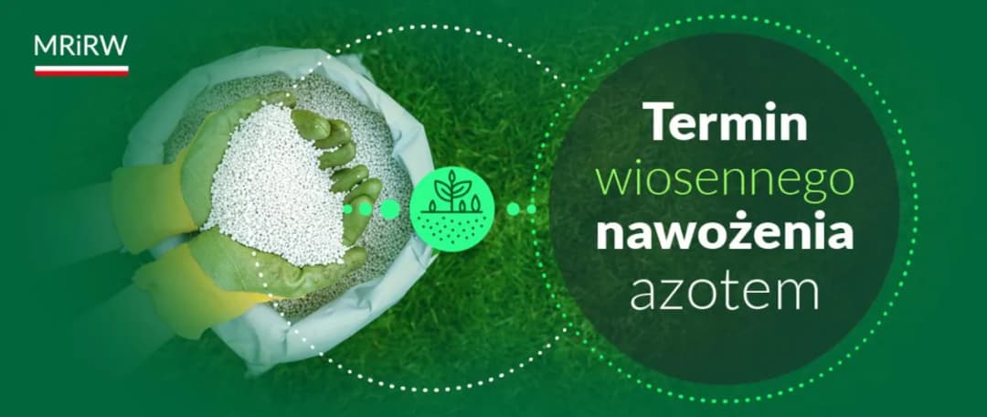 Kiedy można siać nawozy azotowe wiosną? Sprawdź kluczowe warunki