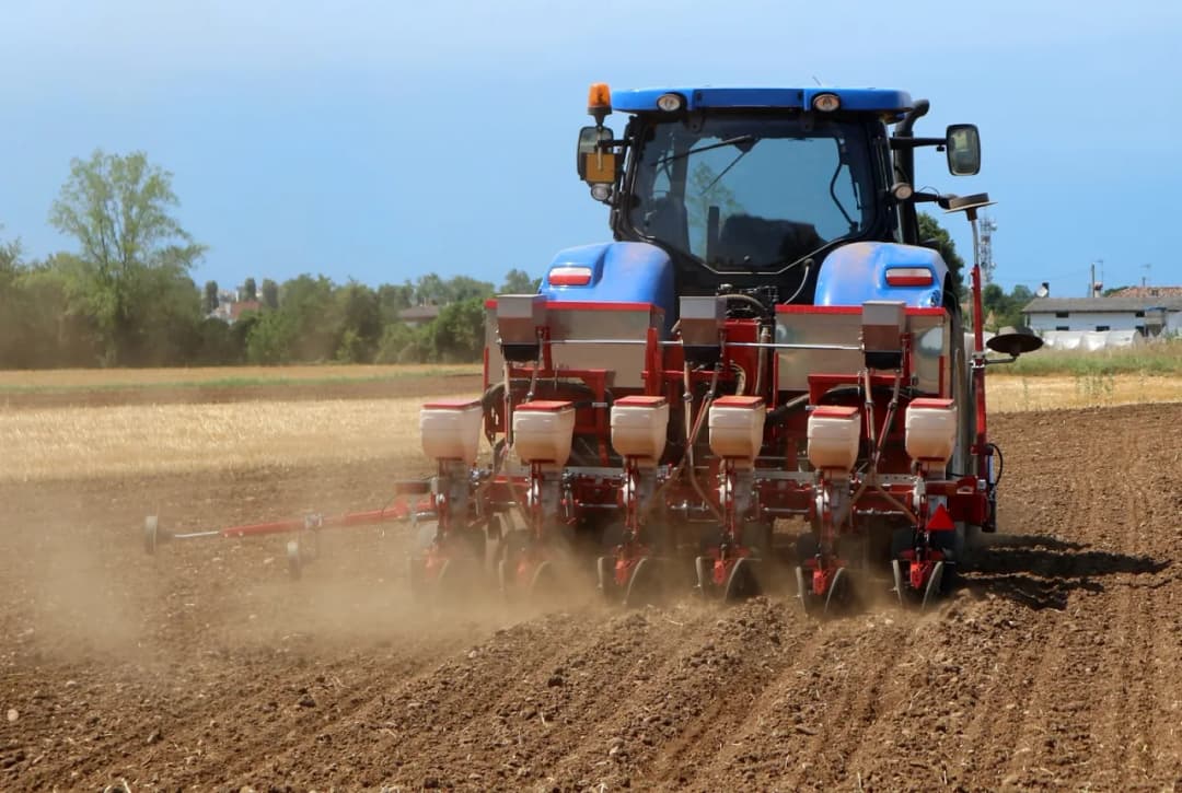 Siewnik do warzyw punktowy - jak wybrać najlepszy?