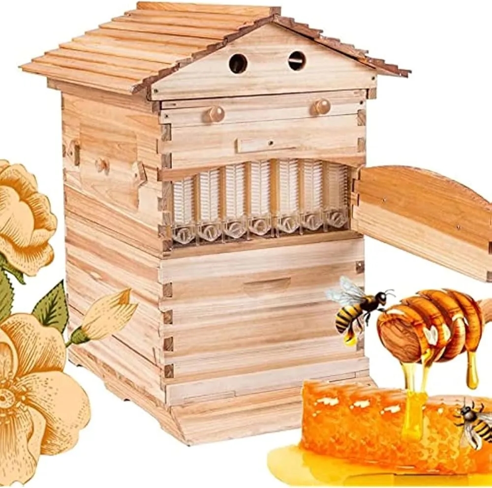 Jaki ul dla początkującego: Wybierz idealny model na start