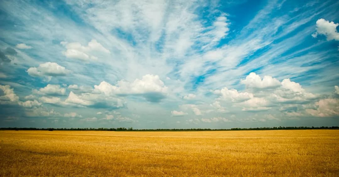 Wiatraki na polu: Zastosowania, korzyści i efektywność wykorzystania