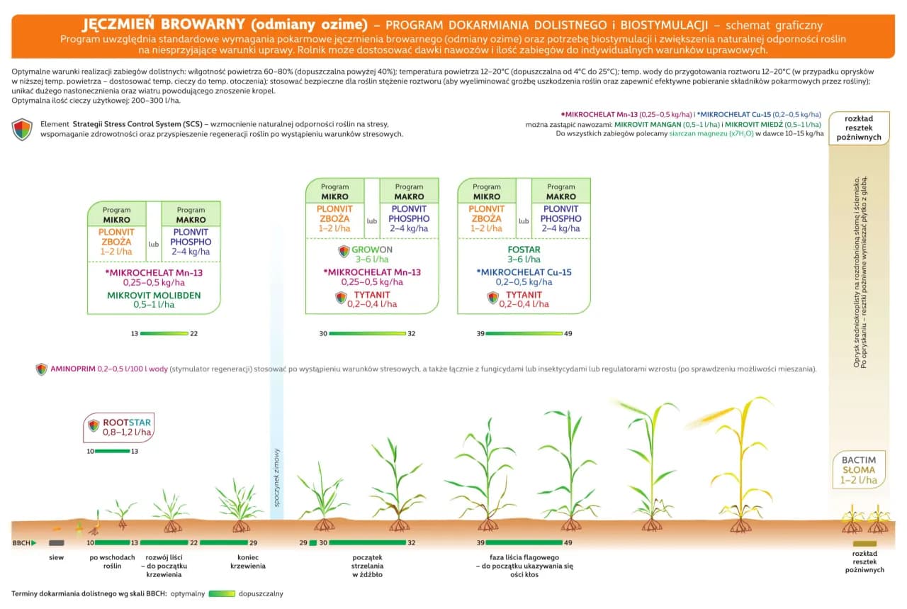 Poznaj wszystkie fazy rozwojowe jęczmienia ozimego i zaplanuj ochronę upraw