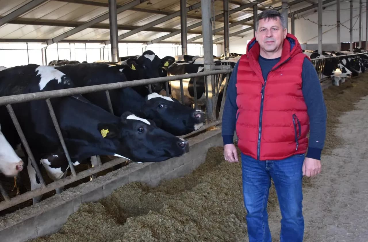 Embriotransfer u bydła: Ile kosztuje i czy się opłaca?