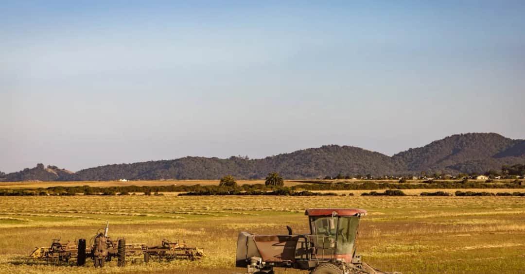 Produkcja integrowana: Korzyści i wyzwania w nowoczesnym rolnictwie