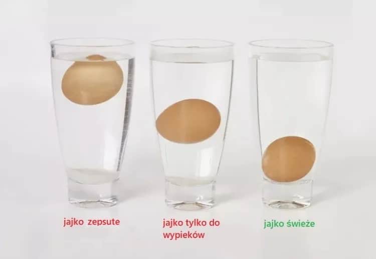 Jak sprawdzić świeżość jajek? Najskuteczniejsze metody