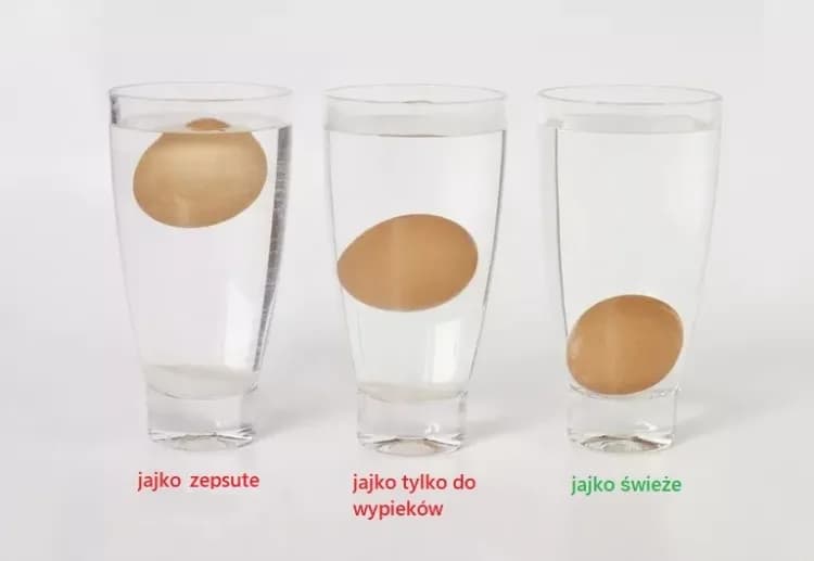 Jak sprawdzić świeżość jajek? Najskuteczniejsze metody