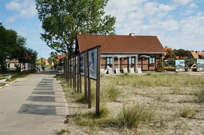 Dom Morświna w Helu: fascynująca podróż do świata morświnów