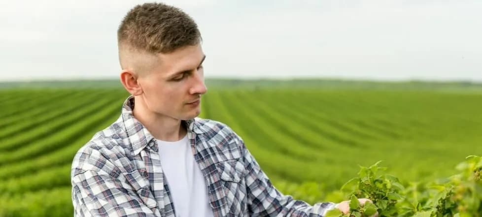 Jak zostać rolnicą w Polsce: niezbędne kwalifikacje i wymagania 2025