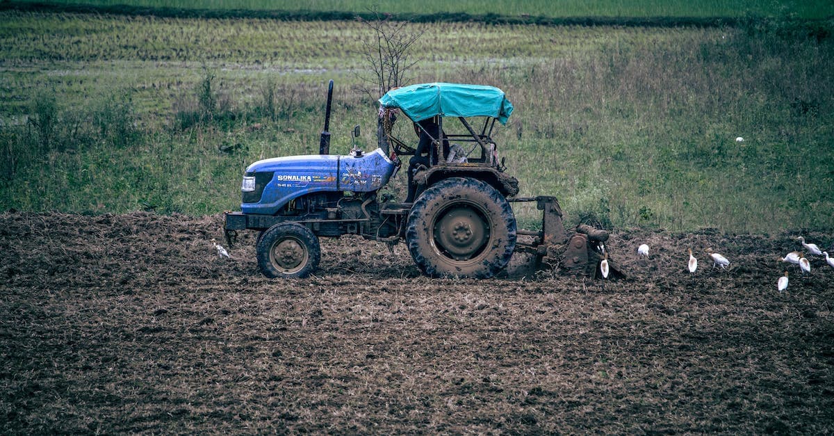 Jaki traktor ciągnik kupić? Poradnik dla rolników