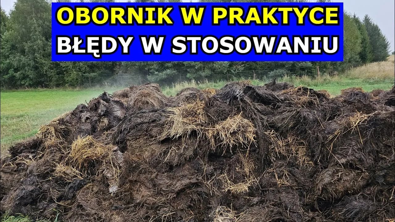 Ile obornika na hektar pod zboża: uniknij błędów w nawożeniu