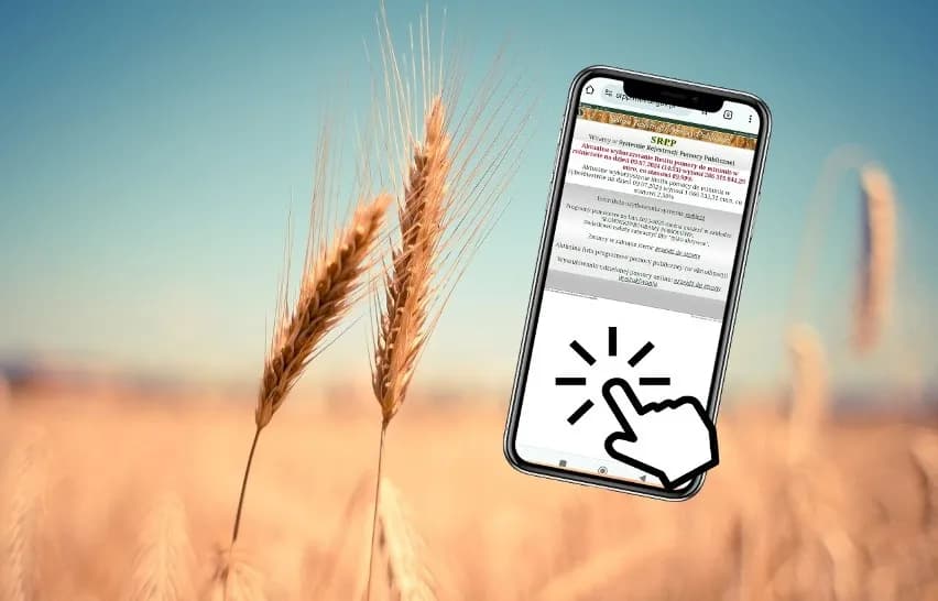 Pomoc de minimis w rolnictwie: Jak sprawdzić dostępność i warunki?