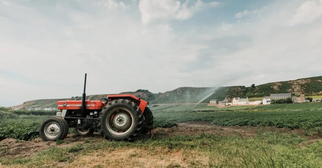 Targi Bednary: Co warto wiedzieć o wydarzeniu rolniczym w 2023 roku?