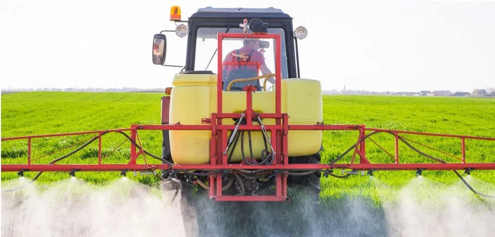 Skuteczne opryski na pszenicę jarą: zwalcz chwasty efektywnie