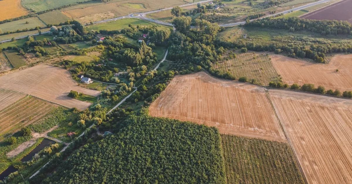 Ceny działek rolnych: Jakie są obecne stawki i co wpływa na ceny?