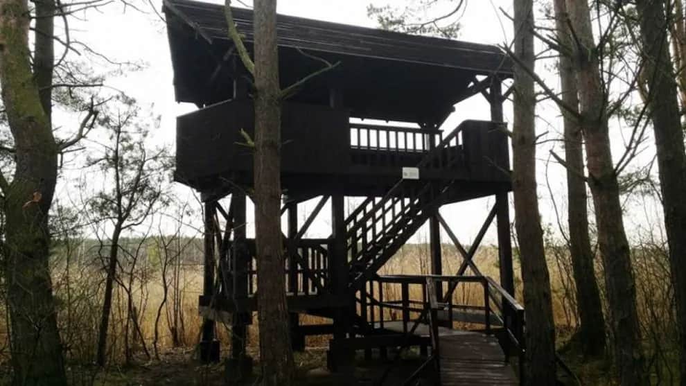 Punkt widokowy Ptasi Raj: raj dla miłośników ptaków nad Sławą