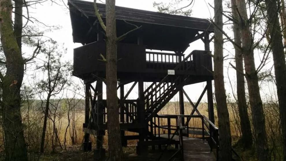 Punkt widokowy Ptasi Raj: raj dla miłośników ptaków nad Sławą