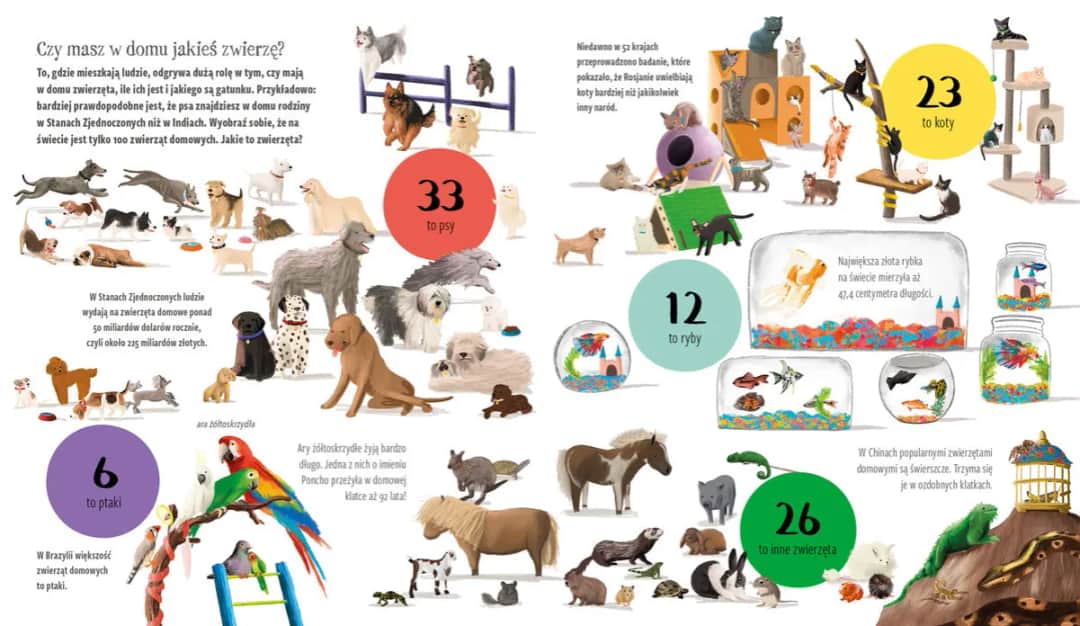 Poznaj najdziwniejsze nazwy zwierząt: od świnki morskiej po zyzusia tłuściocha