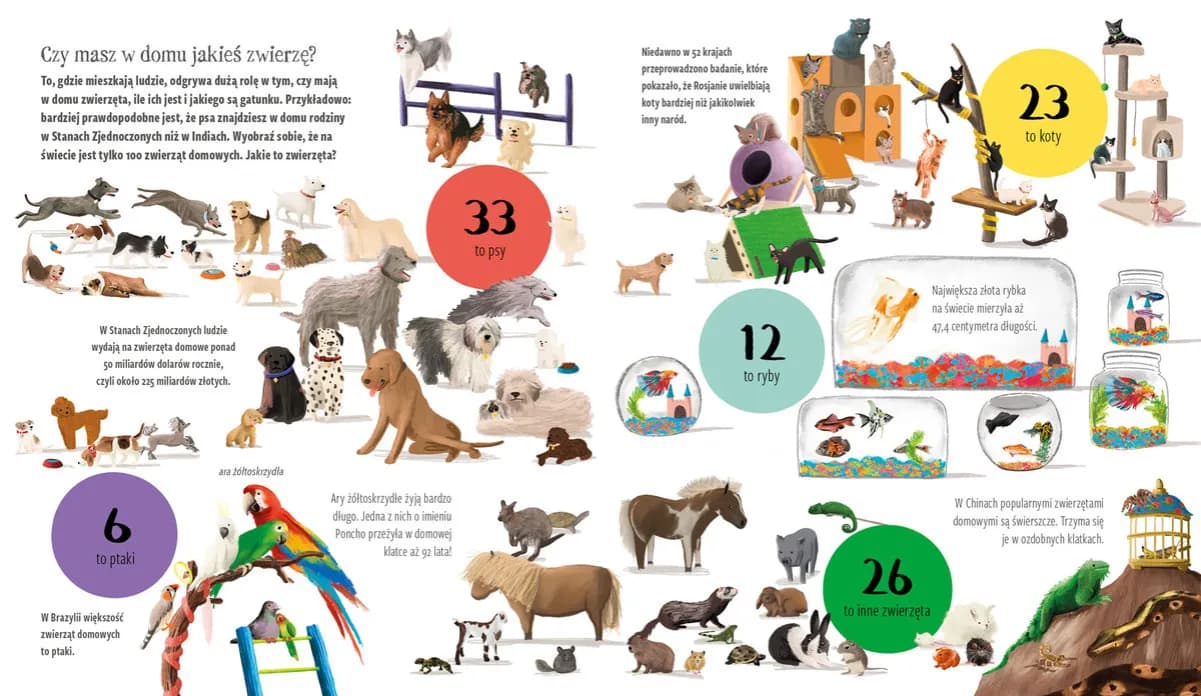 Poznaj najdziwniejsze nazwy zwierząt: od świnki morskiej po zyzusia tłuściocha