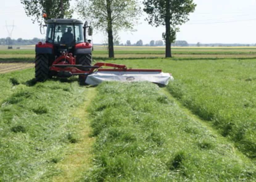 Uprawa traw na gruntach ornych: klucz do efektywnej produkcji paszy