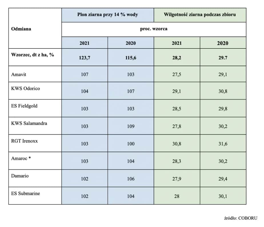 Najbardziej plenne odmiany kukurydzy: Lista sprawdzonych rozwiązań 2025