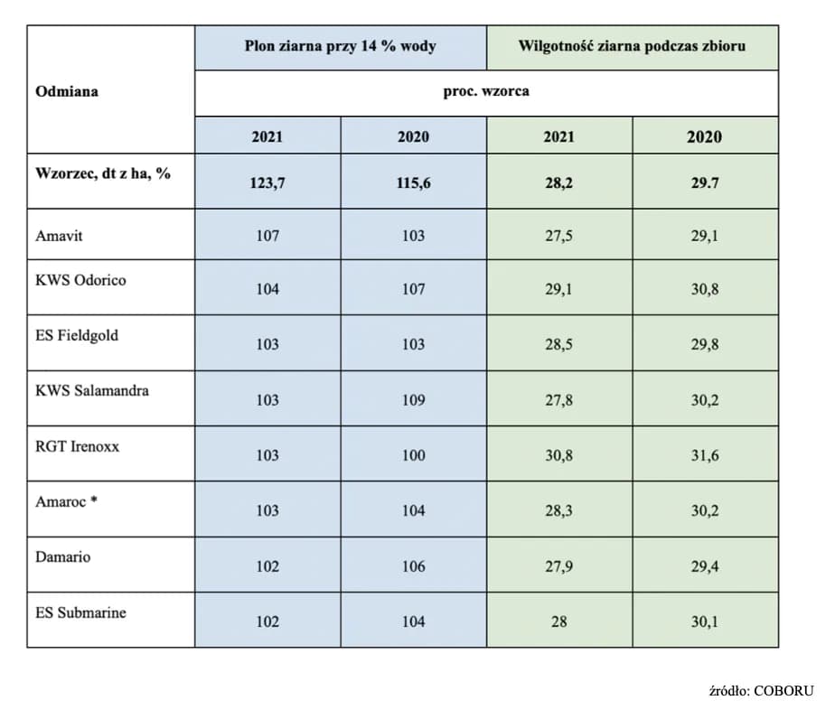 Najbardziej plenne odmiany kukurydzy: Lista sprawdzonych rozwiązań 2025