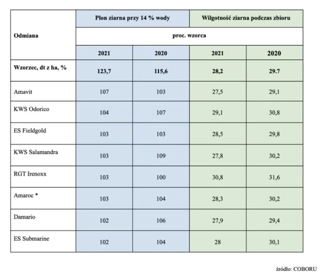 Najbardziej plenne odmiany kukurydzy: Lista sprawdzonych rozwiązań 2025
