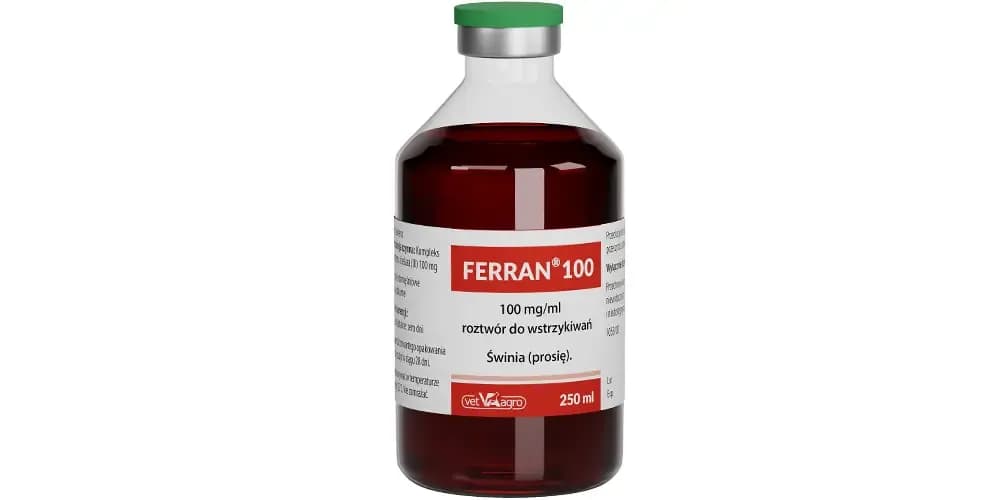 Żelazo dla prosiąt: kluczowy element zdrowia i rozwoju